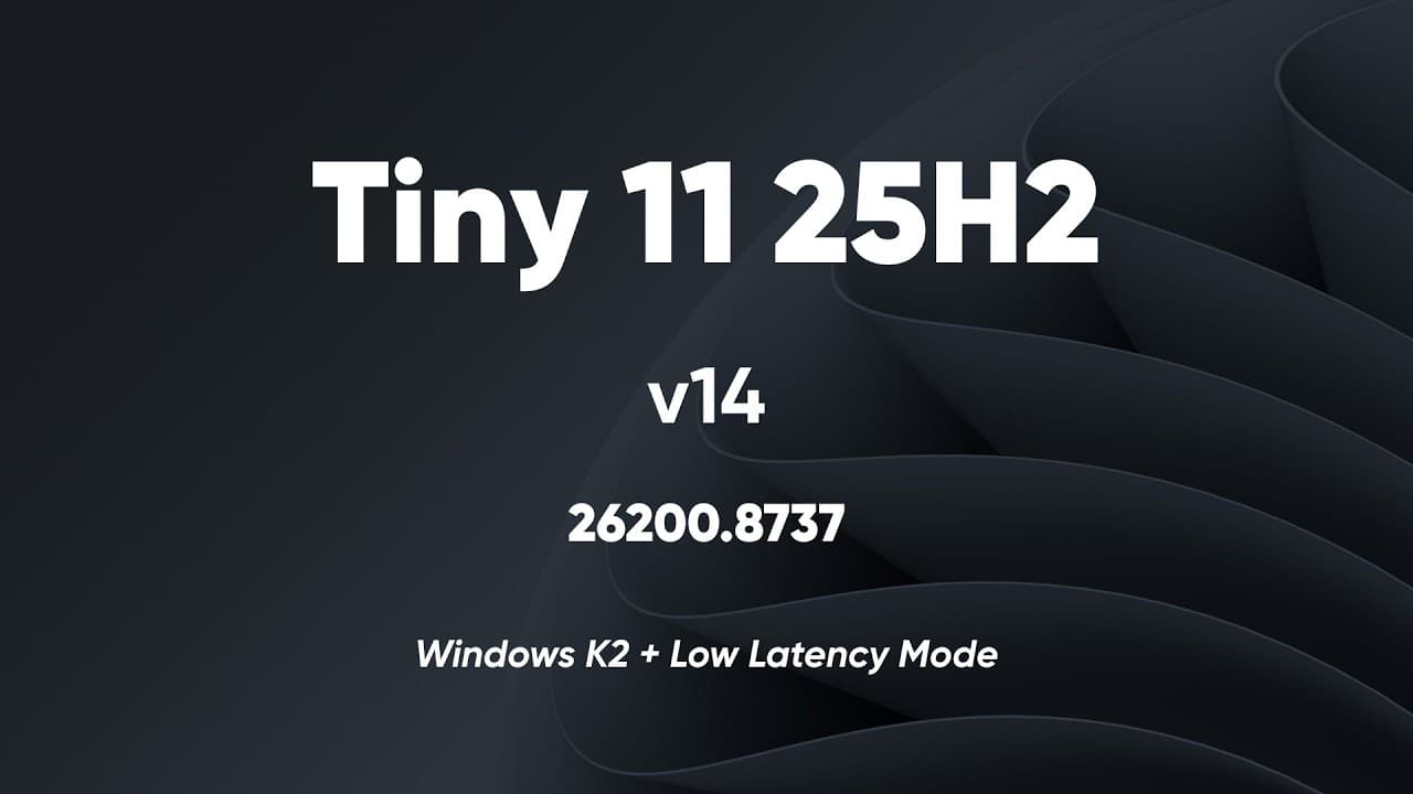 Tiny 11 25H2 v14