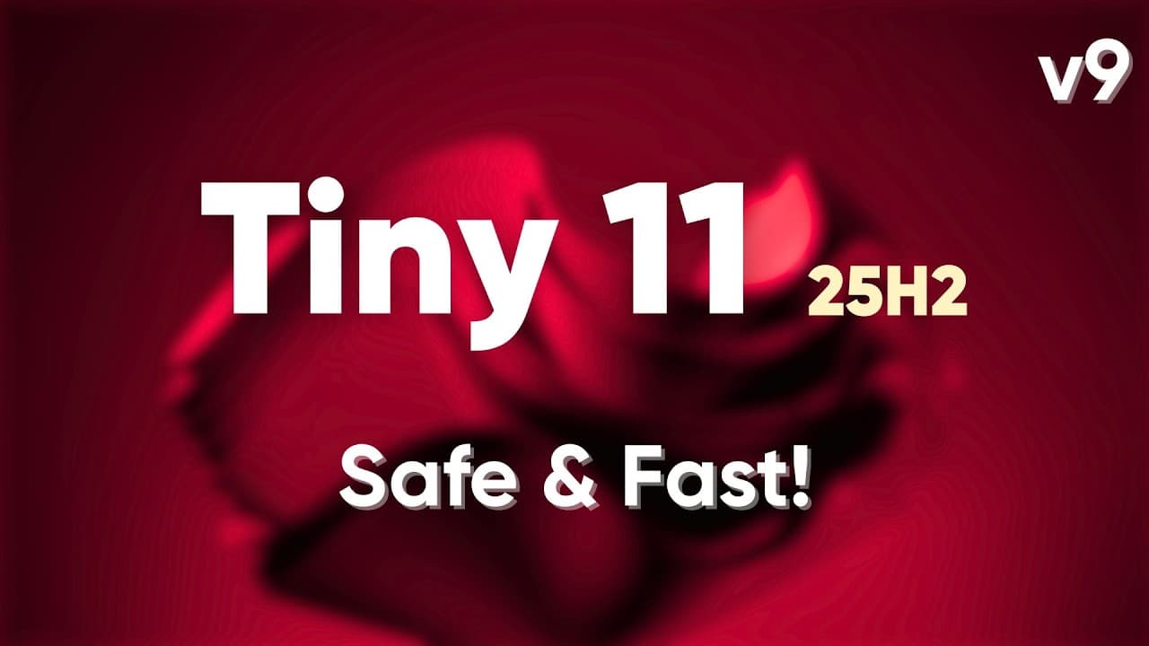 Tiny 11 25H2 v9