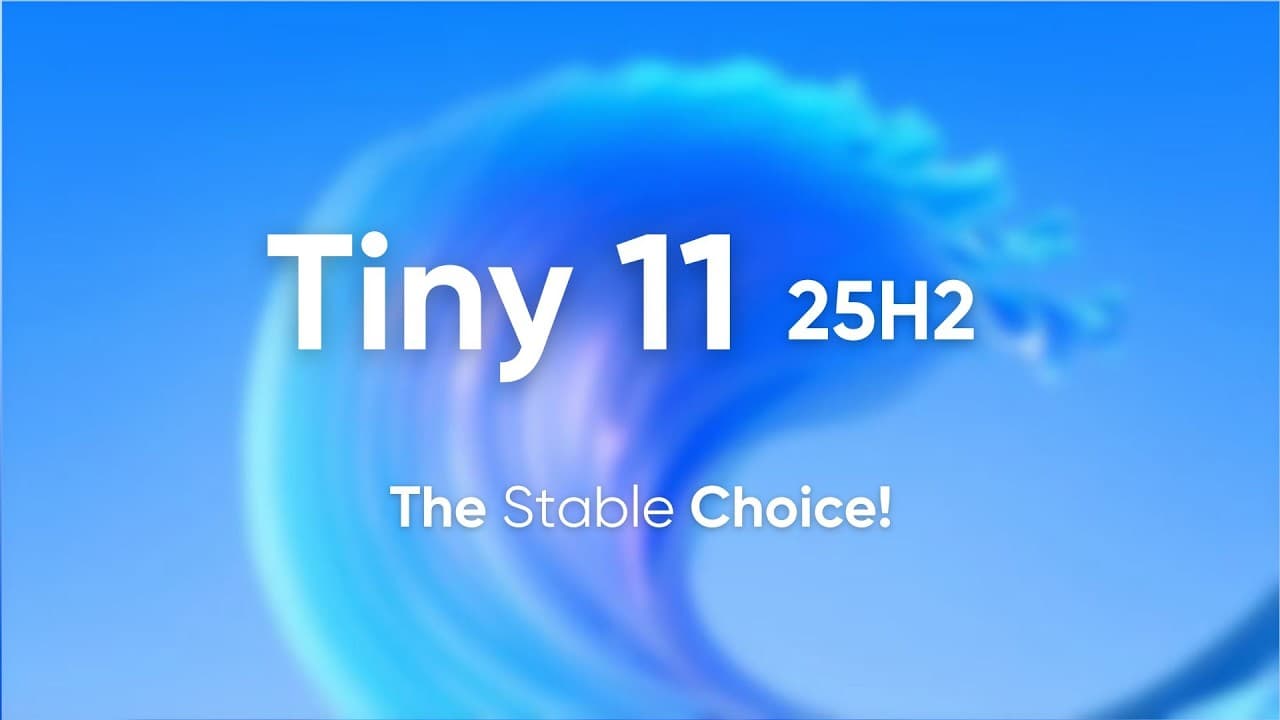 Tiny 11 25H2 v12