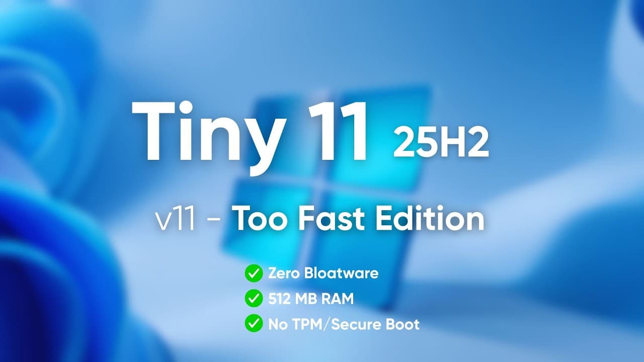 Tiny 11 25H2 v11