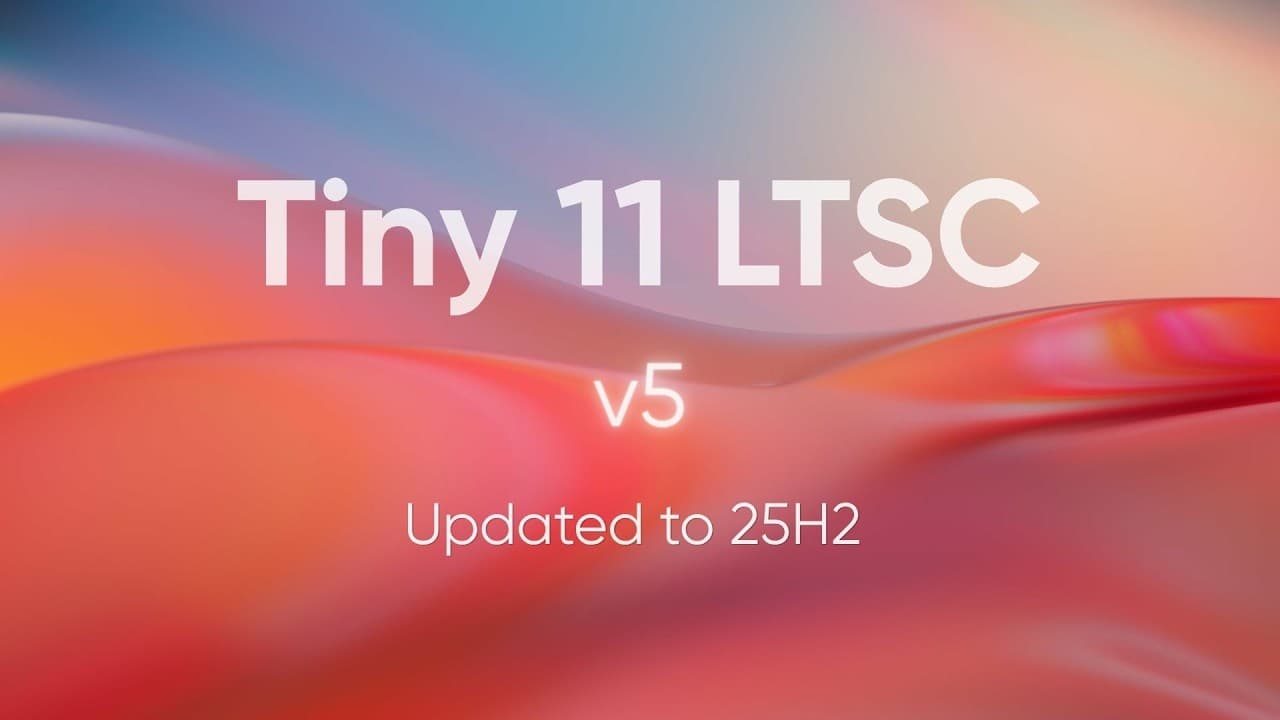 Tiny 11 LTSC v5